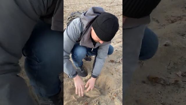 Как искать монеты без металлоискателя смотреть онлайн