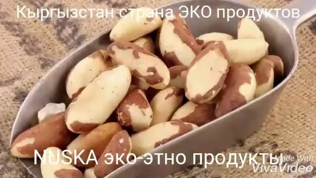 ОРЕХИ виды и польза