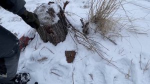 Правильные тесты карабина в калибре 5,45/39