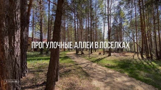 Коттежный поселок "Заповедник". Лесные тропы смотреть онлайн