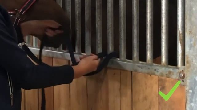 Как поймать лошадь в деннике смотреть онлайн