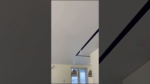 Натяжной потолок с трековым освещением? смотреть онлайн