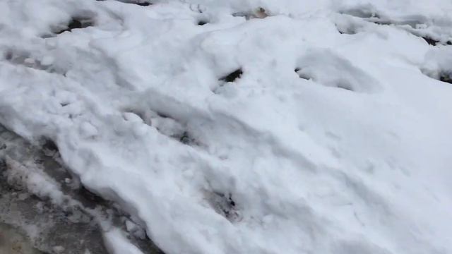 Вязаный наряд и Хрум-хрум в баню смотреть онлайн