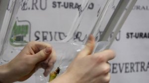 Ошибки при использовании вакуумного упаковщика