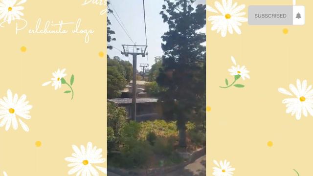 🦓🦁🐒 Taronga Zoo Sydney Australia смотреть онлайн