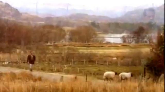 Копия видео Gorec Rodina смотреть онлайн