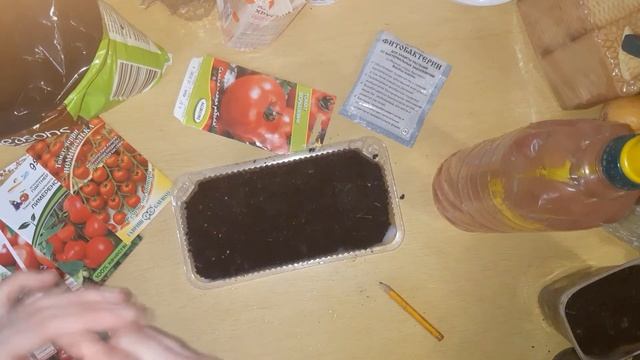 Помидоры черри. Быстрый способ посадки смотреть онлайн