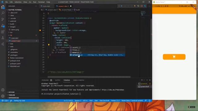 Image widget in flutter | Flutter image | Asset and Network image in flutter смотреть онлайн