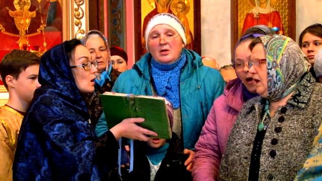 Скоропослушница на линии фронта