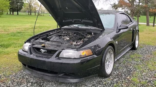 04 New Edge Ford Mustang GT Walk Around смотреть онлайн