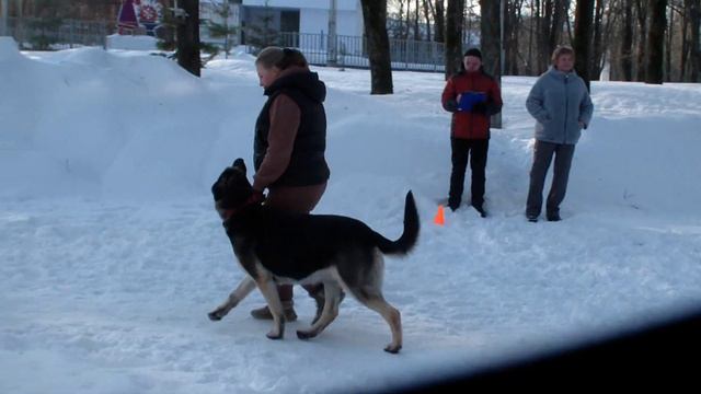 Тула 21.01.2024 проверка рабочих качеств Смилывый Гетман ДНВиндталкерс bestdog.mybb.ru смотреть онлайн