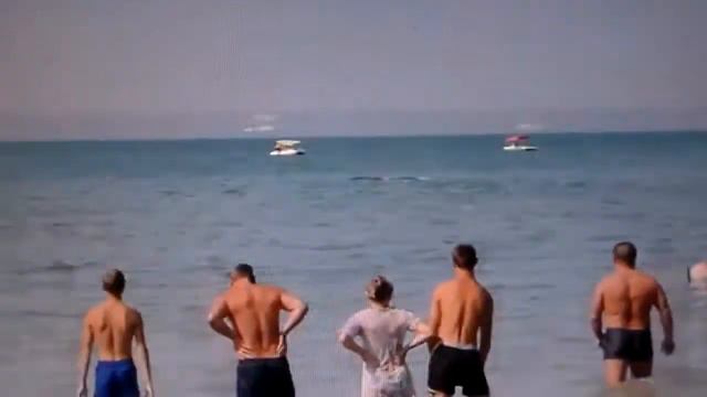 Дельфины.На море. смотреть онлайн