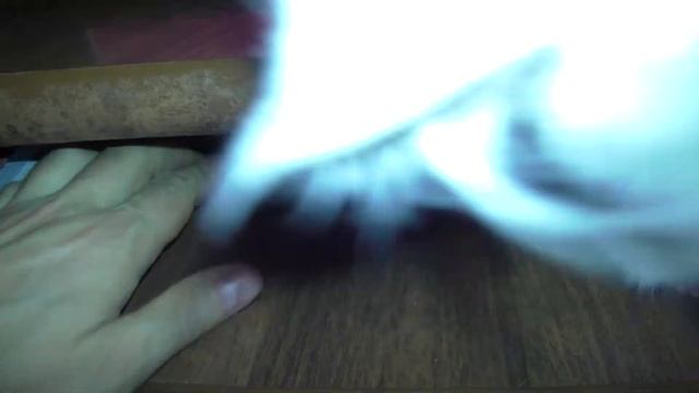 Можно ли оставлять конфетки, ручки, кошельки и телефоны на столе в доме, в котором живут кошки смотреть онлайн