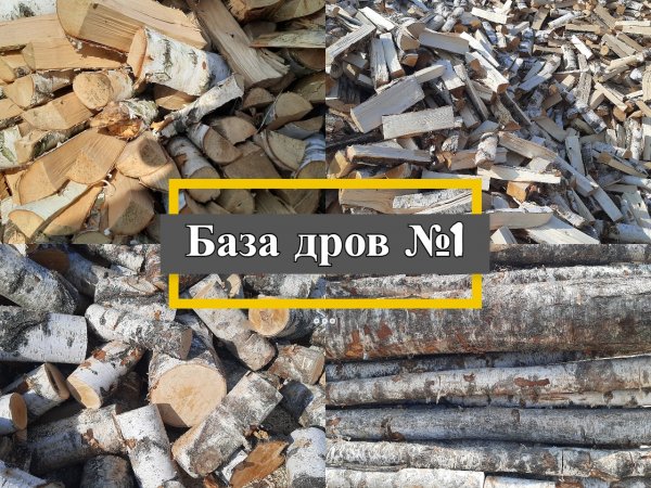 База дров№1