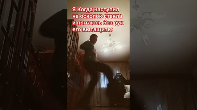 #ролф #габба #р_е_к_о_м_е_н_д_а_ц_и_и #fupシ #hardstyle #meme смотреть онлайн