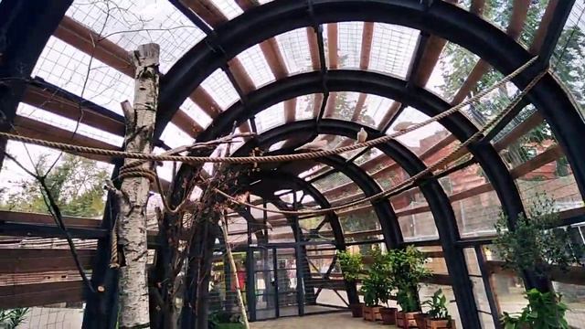 Вольер для птиц / Moscow Zoo смотреть онлайн
