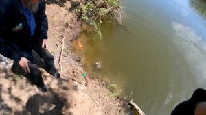 Рыбалка в Оренбурге река Урал Поймали много рыбца