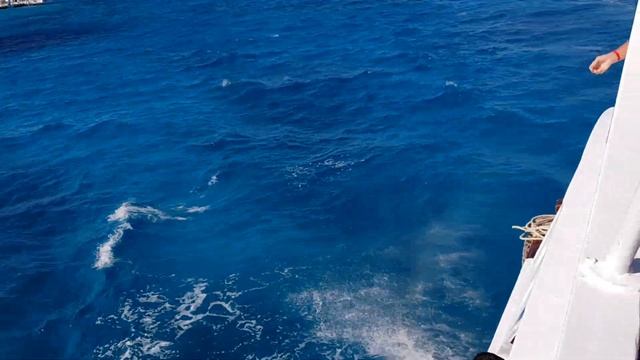 КРАСНОЕ МОРЕ – ЕГИПЕТ ХУРГАДА смотреть онлайн