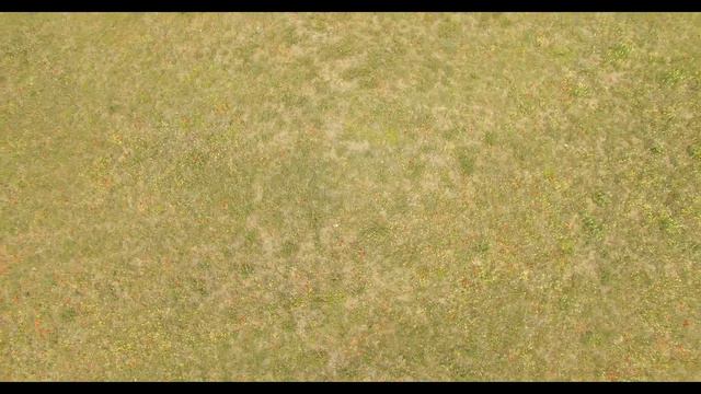 Вот такая Крымская степь смотреть онлайн