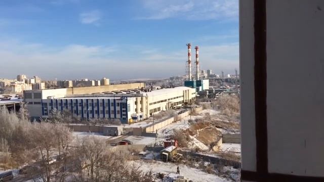 Достали стаи собак смотреть онлайн