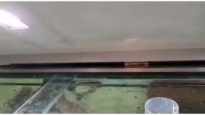 Аквариумистика без границ. Технический рай для аквариумиста. В гостях у Яниса. Часть 2.