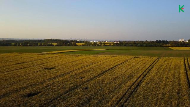 THE MOST BEAUTIFUL OF FLOWER FARMS Around The World смотреть онлайн