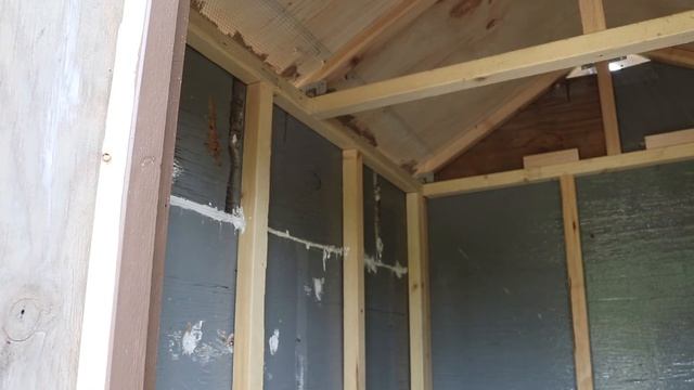 Weekend Chicken Coup Part 4 смотреть онлайн