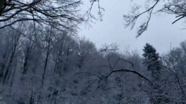 Звонкое крылечко! смотреть онлайн