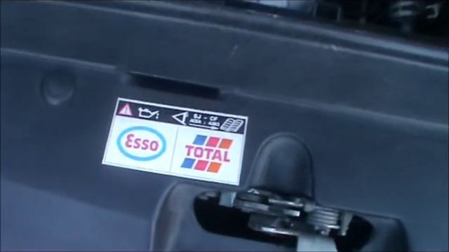 2004 Peugeot 307 Sporty Review (Start Up, Engine, Exhaust, And In Depth Tour)