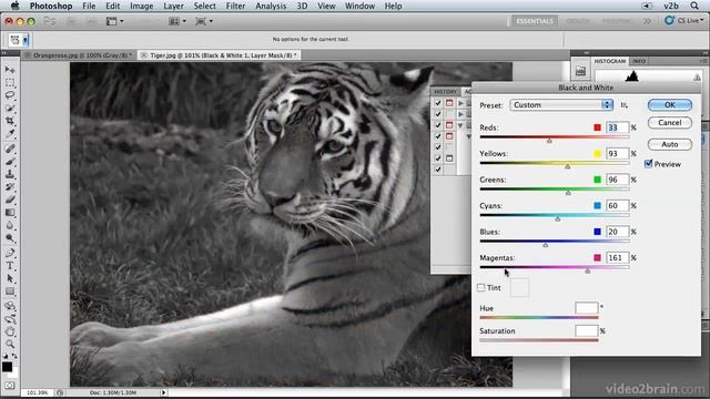 Photoshop CS5: Automating Photoshop with Actions смотреть онлайн
