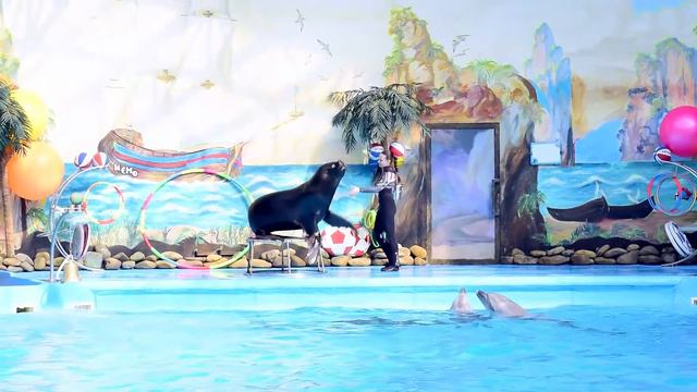 Дельфинарий НЕМО! Представление морского льва! Часть №2 !Dolphinarium Nemo! смотреть онлайн
