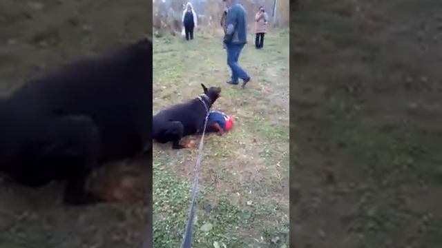 Охрана вещи.ЗКС смотреть онлайн