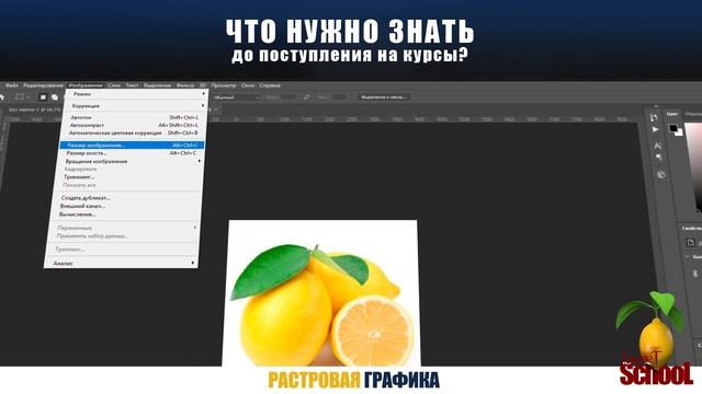 Что нужно знать? Растровая графика. смотреть онлайн