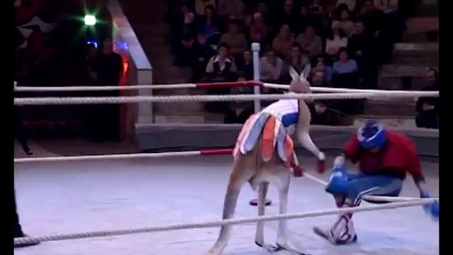 Планета цирк. Династия Нестеровых смотреть онлайн