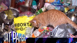 «За гранью»: «Дом ужасов» | Выпуск от 12 февраля 2024 года