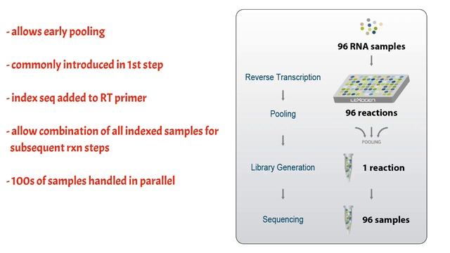 Inline Indexing | Sample-Barcoding | Sample Barcodes | Unique Molecular Indices | смотреть онлайн
