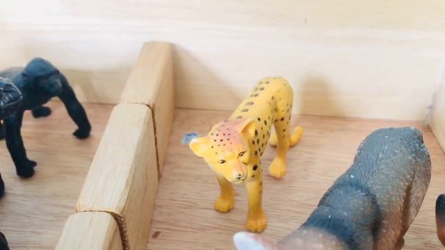 BLUEY and BINGO Visit The Zoo Animals Playing with Toys Videos For Kids смотреть онлайн