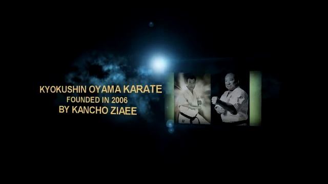 KYOKUSHIN OYAMA WORLD CHAMPIONSHIP UKRAINE 2018 смотреть онлайн