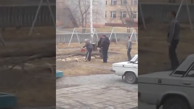 Валка деревьев во дворе Семенова 23 смотреть онлайн