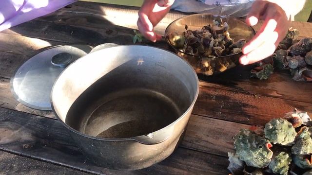 Здоровый Образ Жизни