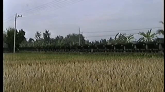 Pakis Baru 5 Mud Train, Central Java, Indonesia смотреть онлайн