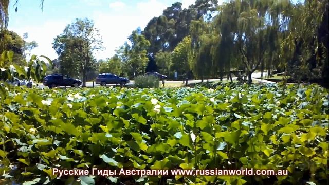 10 самых интересных мест вокруг Сиднея смотреть онлайн