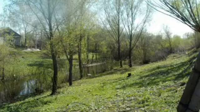 Мордовия, Большая Поляна Кадошкинского района.mp4 смотреть онлайн