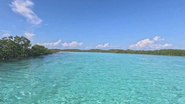 Sailing the Exumas - Part 2 - Sea turtle river and private beach! смотреть онлайн