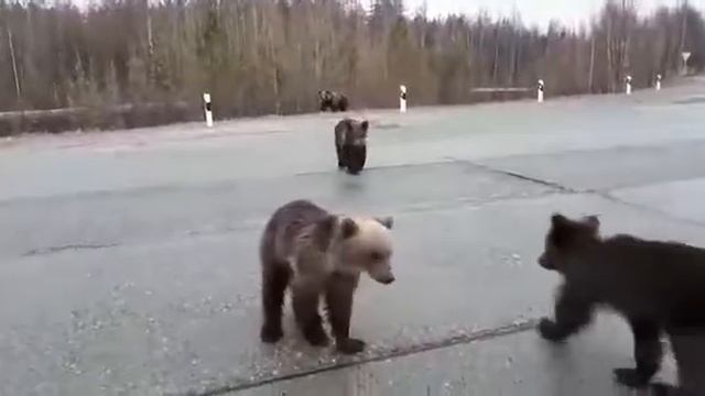 Хмао посёлок Лыхма!!!