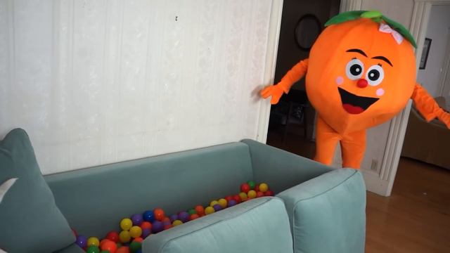Dogs Get Ball Pit Surprise from Giant Orange! Funny Dogs Maymo & Potpie смотреть онлайн
