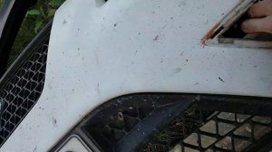 Замена переднего бампера Форд Фокус 2 ST СТ. Ускоренная съемка. Установка и снятие переднего бампер