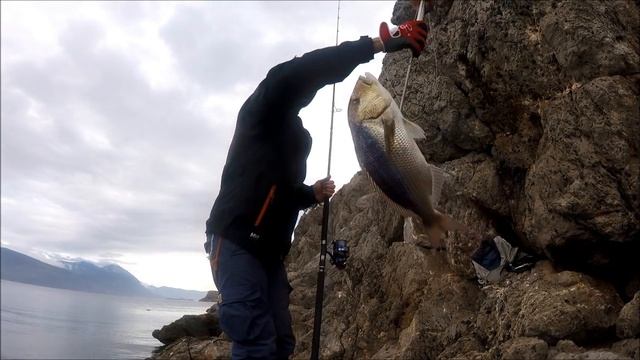 SHORE JIGGING:dentici & Zenaq Muthos Mid game 93 смотреть онлайн