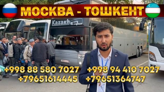 Краснодар Ташкент автобус Мариупол Ташкент автобус #краснодар #ташкент #краснодарташкентавтобус смотреть онлайн