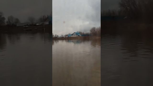 Поездка на реку Оку. Весенний разлив. смотреть онлайн